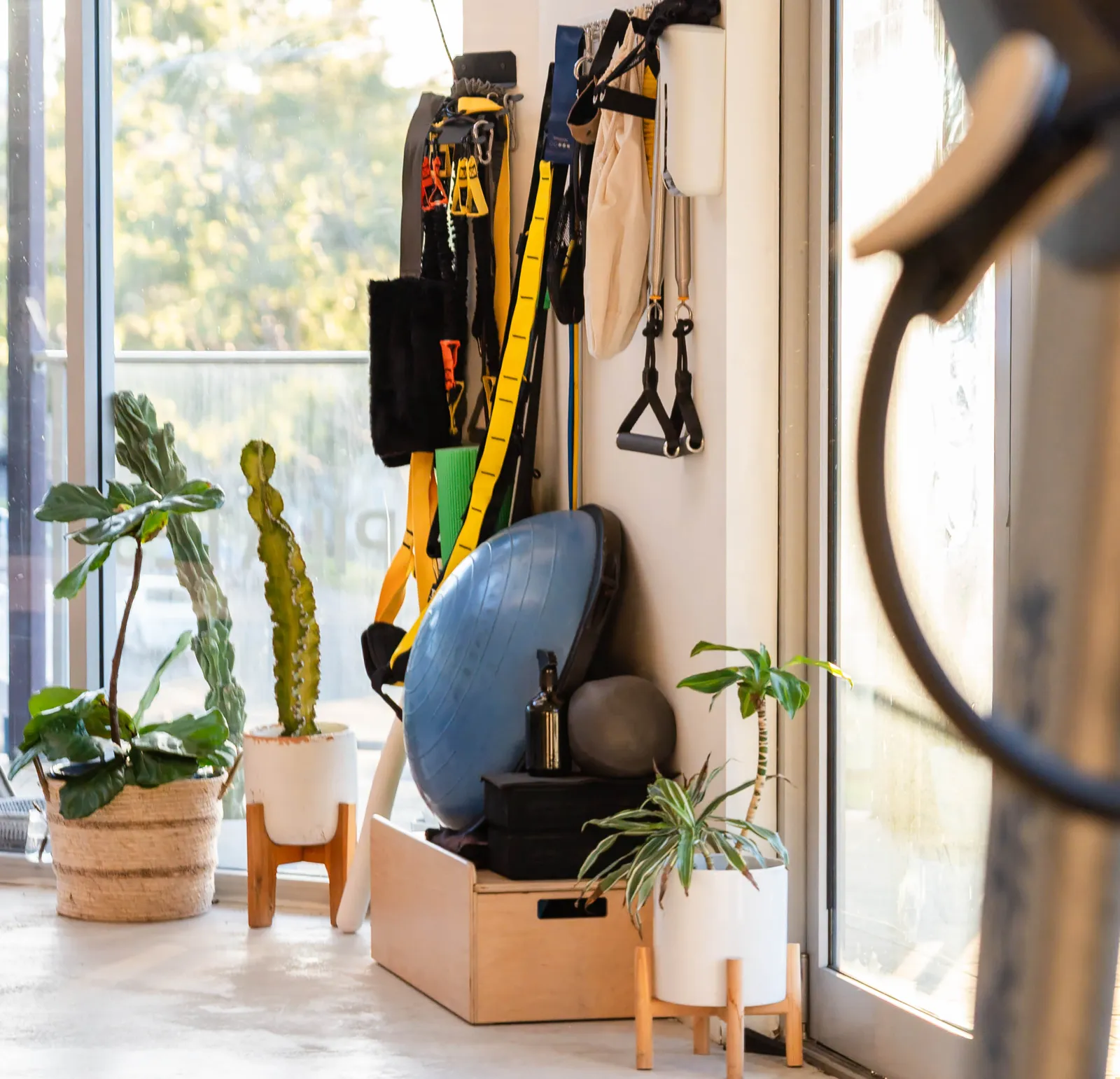 Small equipment stored by the studio window: a BOSU balance trainer, weighted balls, resistance straps and a timber box, with potted plants alongside